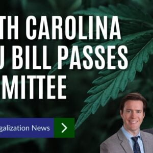 North Carolina Senators Approve Medical Marijuana Legalization Bill In Committee