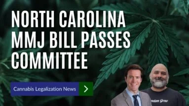 North Carolina Senators Approve Medical Marijuana Legalization Bill In Committee