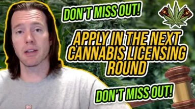 Why You Must Apply in the Next Cannabis Licensing Round | Don't Miss Out on your cannabis business