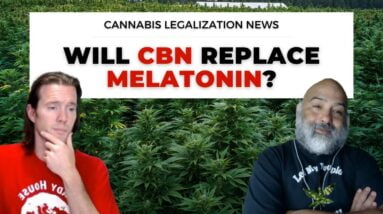 Does CBN Get You High? | CBN Grows in Popularity