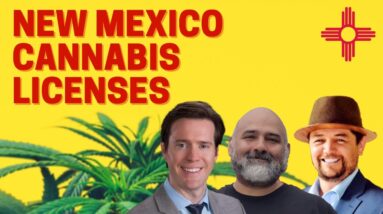 How to Get a Cannabis Business License in New Mexico