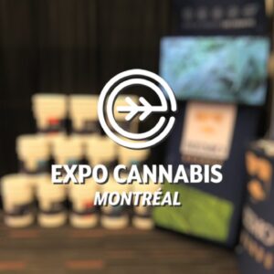 Montreal Cannabis Expo Walk Around