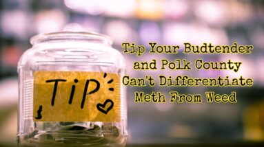 Tip Your Budtender and Polk County Can't Differentiate Meth From Weed