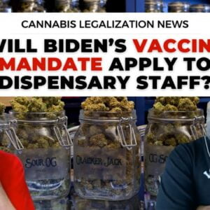 Will Biden’s Vaccine Mandate Apply to Dispensary Staff?