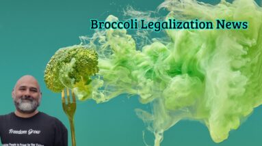 Broccoli Legalization News
