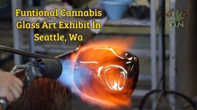 Funtional Cannabis Glass Art Exhibit In Seattle, Wa