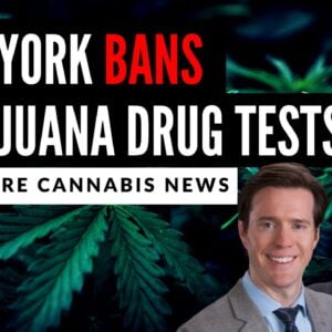 New York Becomes First State to Ban Drug Tests for Marijuana