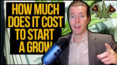How much does it cost to start a licensed cannabis grow operation? Startup cannabis grow costs