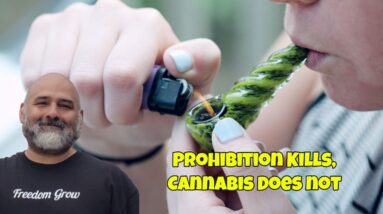 Prohibition Kills, Cannabis Does Not