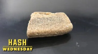 Red Rocket Hash Wednesday