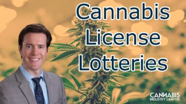 Cannabis License Lotteries - Deep Dive into Illinois Dispensary Lottery Results