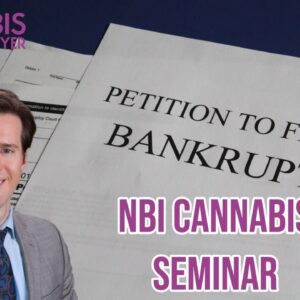 NBI Bankruptcy Webinar | Cannabis Company Bankruptcies