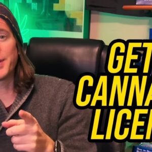How to Get a Cannabis License | Top 10 Ways to get a cannabis license in 2022.