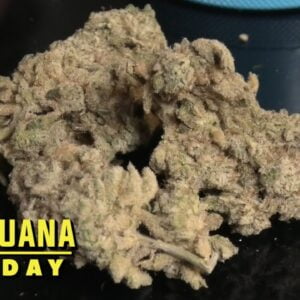 Khalifa Kush Marijuana Monday (Toronto Edition)