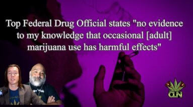 Top Federal Drug Official states that no evidence of occasional [adult] marijuana use is harmful