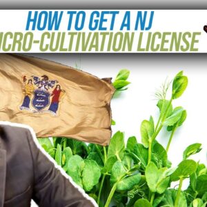 How to Get a New Jersey Micro-cultivation license | Conditional Cannabis License Application