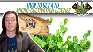 How to Get a New Jersey Micro-cultivation license | Conditional Cannabis License Application