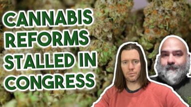 Cannabis Reforms Stalled in Congress | Federal Legalization News