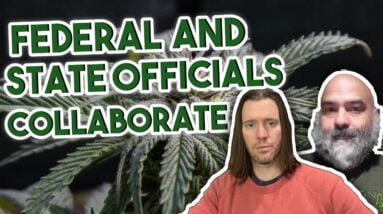 Federal and State Officials Want Standardization in the Industry | Federal Legalization News