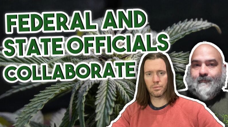 Federal and State Officials Want Standardization in the Industry | Federal Legalization News
