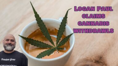 Logan Paul Claims Cannabis Withdrawls