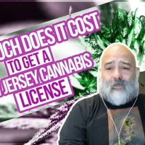 How Much Does it Cost to Apply to Get a New Jersey Cannabis License | License Application Costs
