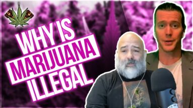 Why Is Marijuana Illegal? The Story of Cannabis Prohibition in 20 Minutes