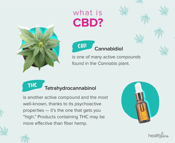 Beginners Guide to CBD: Understanding the Basics and Benefits CBD Safety and Side Effects: What to Know Before Trying CBD