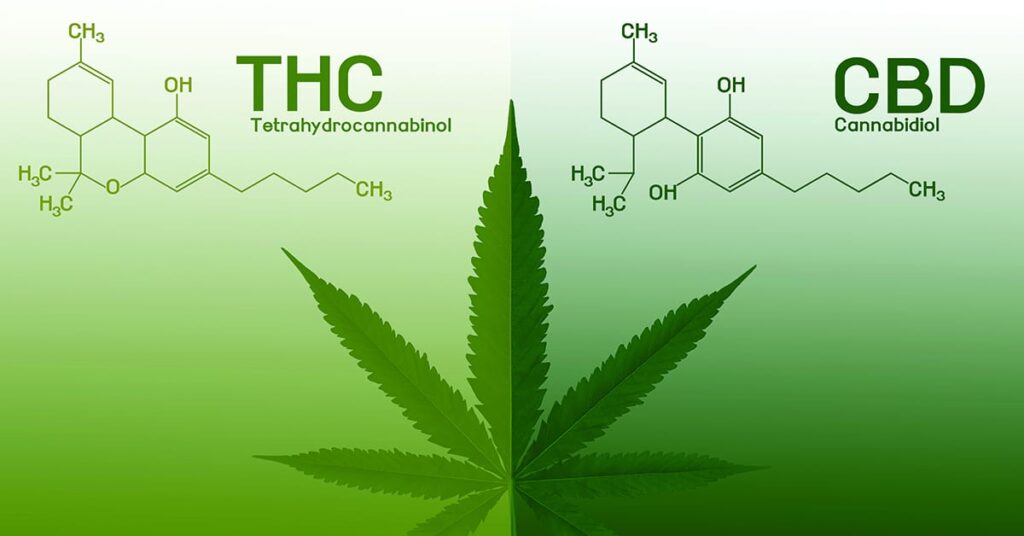 CBD vs. THC: Exploring the Distinctions and Advantages Side Effects and Risks of CBD and THC