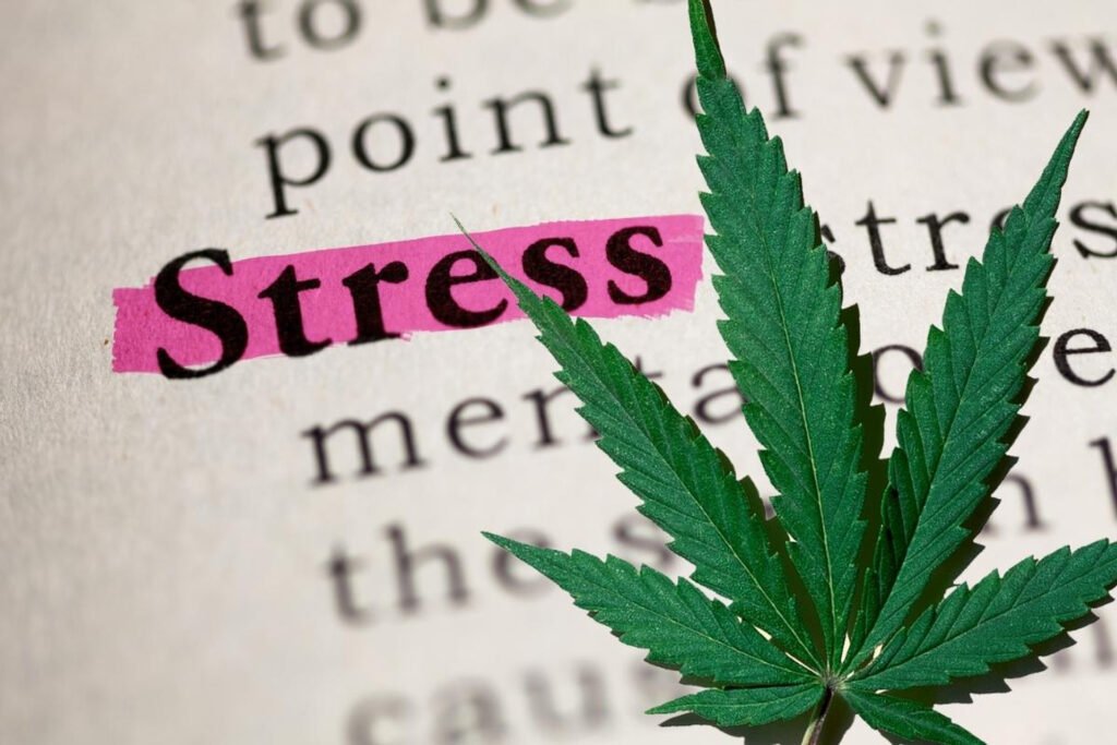 How CBD Can Help Alleviate Anxiety and Stress: A Comprehensive Guide Alternative Natural Remedies for Anxiety and Stress