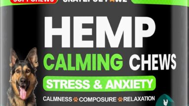 Hemp Calming Chews for Dogs Review